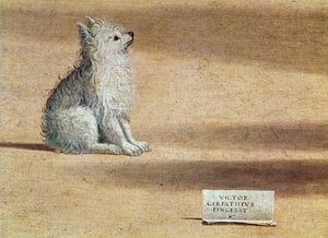 Syn af St. Augustine, detalje af hunden, 1502-08